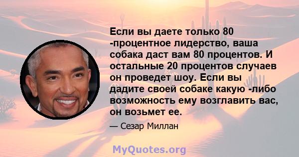 Если вы даете только 80 -процентное лидерство, ваша собака даст вам 80 процентов. И остальные 20 процентов случаев он проведет шоу. Если вы дадите своей собаке какую -либо возможность ему возглавить вас, он возьмет ее.