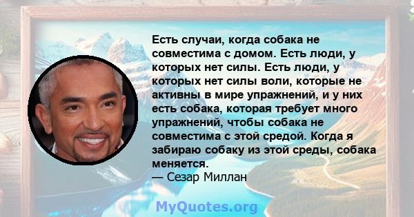 Есть случаи, когда собака не совместима с домом. Есть люди, у которых нет силы. Есть люди, у которых нет силы воли, которые не активны в мире упражнений, и у них есть собака, которая требует много упражнений, чтобы