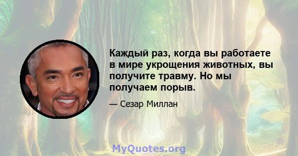 Каждый раз, когда вы работаете в мире укрощения животных, вы получите травму. Но мы получаем порыв.