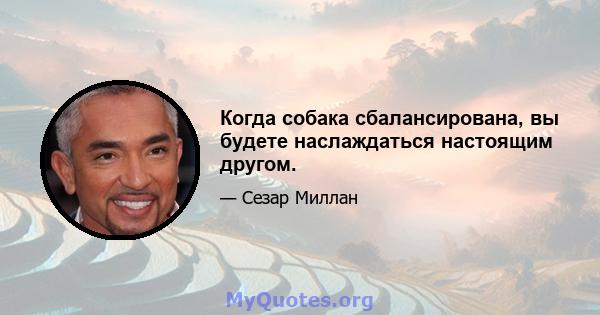 Когда собака сбалансирована, вы будете наслаждаться настоящим другом.