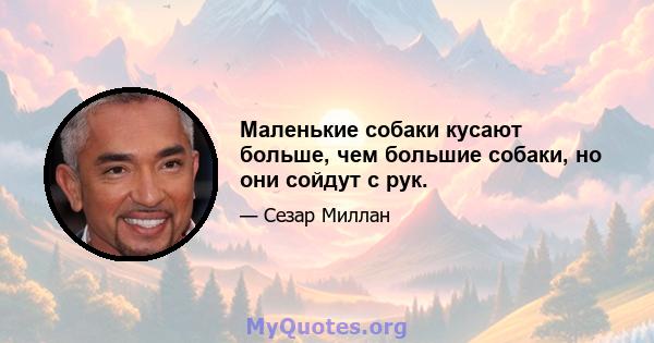 Маленькие собаки кусают больше, чем большие собаки, но они сойдут с рук.