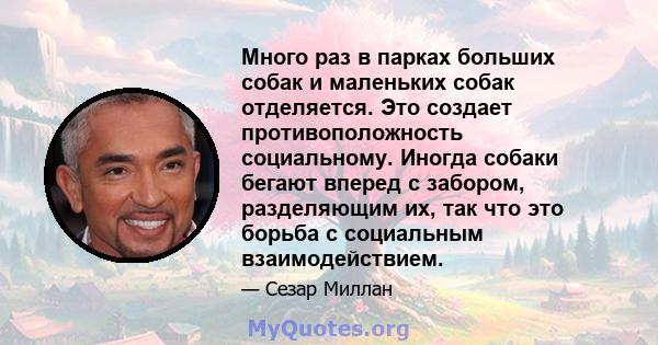 Много раз в парках больших собак и маленьких собак отделяется. Это создает противоположность социальному. Иногда собаки бегают вперед с забором, разделяющим их, так что это борьба с социальным взаимодействием.