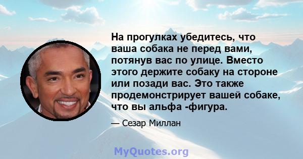 На прогулках убедитесь, что ваша собака не перед вами, потянув вас по улице. Вместо этого держите собаку на стороне или позади вас. Это также продемонстрирует вашей собаке, что вы альфа -фигура.