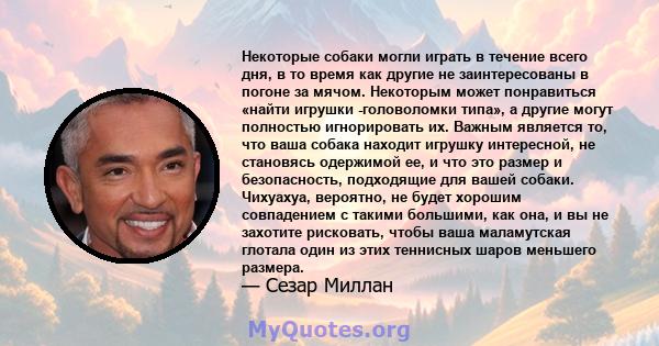 Некоторые собаки могли играть в течение всего дня, в то время как другие не заинтересованы в погоне за мячом. Некоторым может понравиться «найти игрушки -головоломки типа», а другие могут полностью игнорировать их.