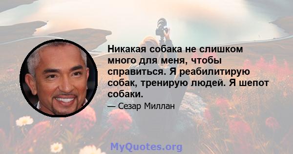 Никакая собака не слишком много для меня, чтобы справиться. Я реабилитирую собак, тренирую людей. Я шепот собаки.