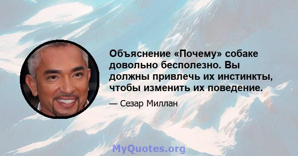 Объяснение «Почему» собаке довольно бесполезно. Вы должны привлечь их инстинкты, чтобы изменить их поведение.