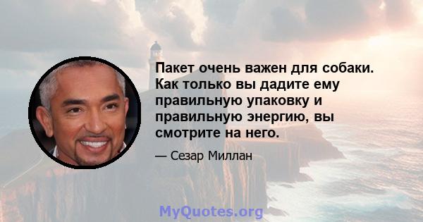 Пакет очень важен для собаки. Как только вы дадите ему правильную упаковку и правильную энергию, вы смотрите на него.