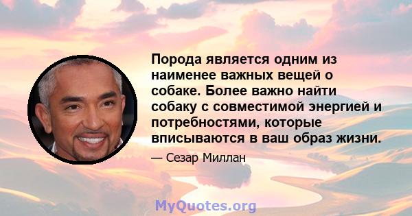 Порода является одним из наименее важных вещей о собаке. Более важно найти собаку с совместимой энергией и потребностями, которые вписываются в ваш образ жизни.