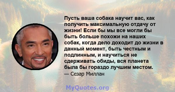 Пусть ваша собака научит вас, как получить максимальную отдачу от жизни! Если бы мы все могли бы быть больше похожи на наших собак, когда дело доходит до жизни в данный момент, быть честным и подлинным, и научиться не