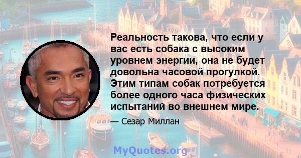 Реальность такова, что если у вас есть собака с высоким уровнем энергии, она не будет довольна часовой прогулкой. Этим типам собак потребуется более одного часа физических испытаний во внешнем мире.