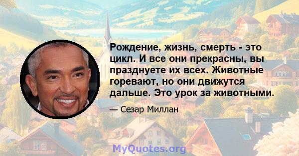 Рождение, жизнь, смерть - это цикл. И все они прекрасны, вы празднуете их всех. Животные горевают, но они движутся дальше. Это урок за животными.