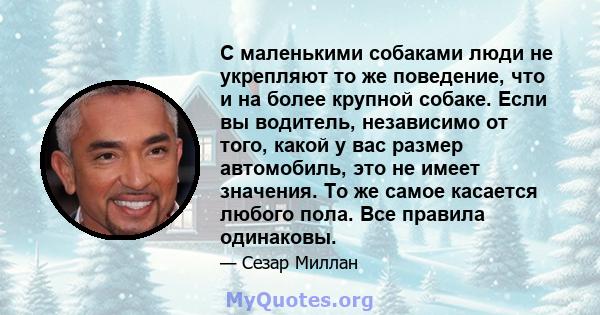 С маленькими собаками люди не укрепляют то же поведение, что и на более крупной собаке. Если вы водитель, независимо от того, какой у вас размер автомобиль, это не имеет значения. То же самое касается любого пола. Все