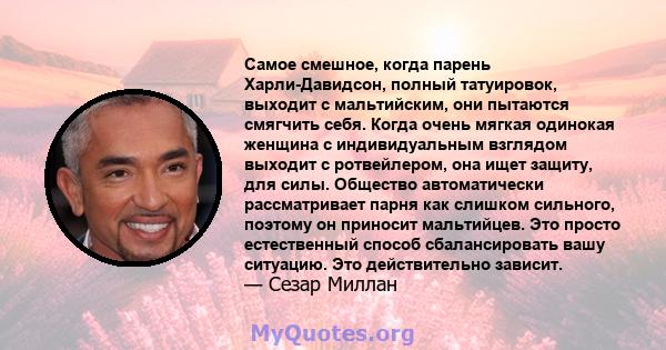 Самое смешное, когда парень Харли-Давидсон, полный татуировок, выходит с мальтийским, они пытаются смягчить себя. Когда очень мягкая одинокая женщина с индивидуальным взглядом выходит с ротвейлером, она ищет защиту, для 