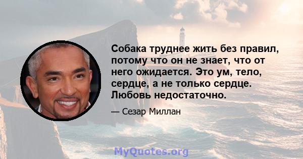 Собака труднее жить без правил, потому что он не знает, что от него ожидается. Это ум, тело, сердце, а не только сердце. Любовь недостаточно.