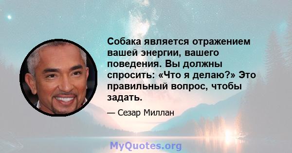 Собака является отражением вашей энергии, вашего поведения. Вы должны спросить: «Что я делаю?» Это правильный вопрос, чтобы задать.