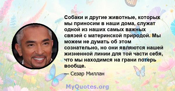 Собаки и другие животные, которых мы приносим в наши дома, служат одной из наших самых важных связей с материнской природой. Мы можем не думать об этом сознательно, но они являются нашей жизненной линии для той части