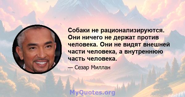 Собаки не рационализируются. Они ничего не держат против человека. Они не видят внешней части человека, а внутреннюю часть человека.