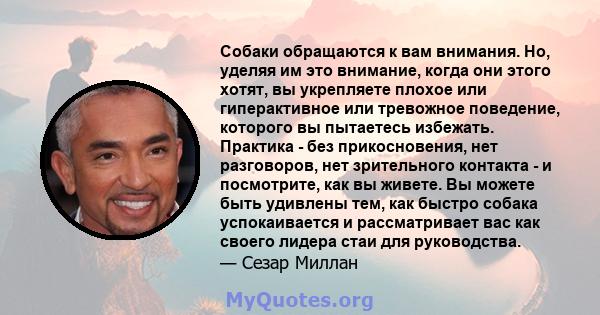 Собаки обращаются к вам внимания. Но, уделяя им это внимание, когда они этого хотят, вы укрепляете плохое или гиперактивное или тревожное поведение, которого вы пытаетесь избежать. Практика - без прикосновения, нет