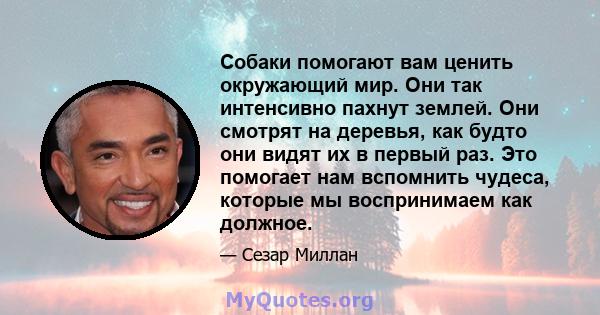 Собаки помогают вам ценить окружающий мир. Они так интенсивно пахнут землей. Они смотрят на деревья, как будто они видят их в первый раз. Это помогает нам вспомнить чудеса, которые мы воспринимаем как должное.