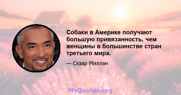 Собаки в Америке получают большую привязанность, чем женщины в большинстве стран третьего мира.