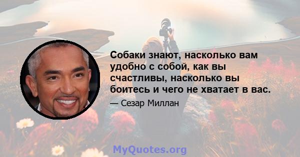 Собаки знают, насколько вам удобно с собой, как вы счастливы, насколько вы боитесь и чего не хватает в вас.