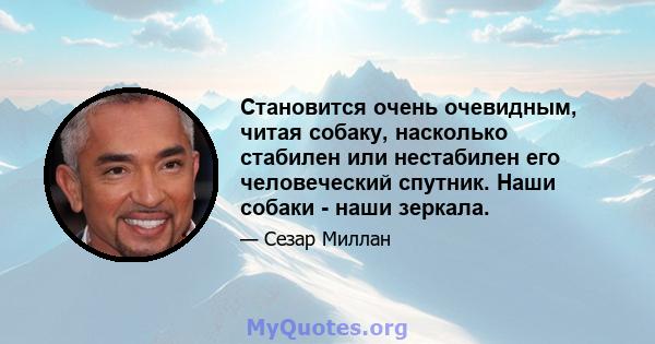 Становится очень очевидным, читая собаку, насколько стабилен или нестабилен его человеческий спутник. Наши собаки - наши зеркала.