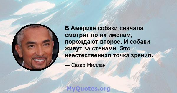 В Америке собаки сначала смотрят по их именам, порождают второе. И собаки живут за стенами. Это неестественная точка зрения.