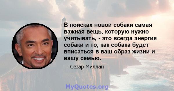 В поисках новой собаки самая важная вещь, которую нужно учитывать, - это всегда энергия собаки и то, как собака будет вписаться в ваш образ жизни и вашу семью.