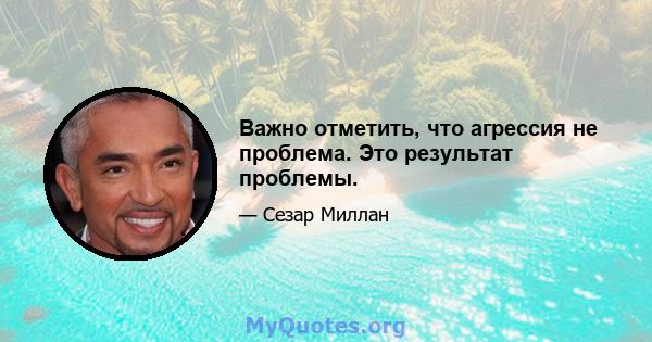 Важно отметить, что агрессия не проблема. Это результат проблемы.