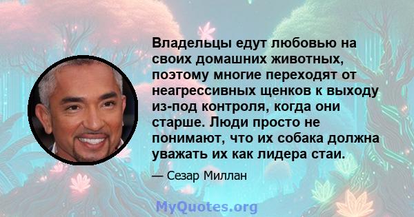 Владельцы едут любовью на своих домашних животных, поэтому многие переходят от неагрессивных щенков к выходу из-под контроля, когда они старше. Люди просто не понимают, что их собака должна уважать их как лидера стаи.