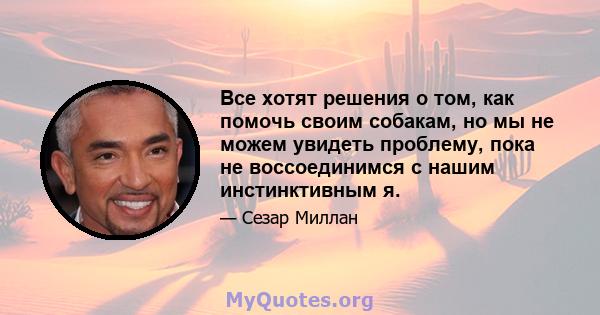 Все хотят решения о том, как помочь своим собакам, но мы не можем увидеть проблему, пока не воссоединимся с нашим инстинктивным я.