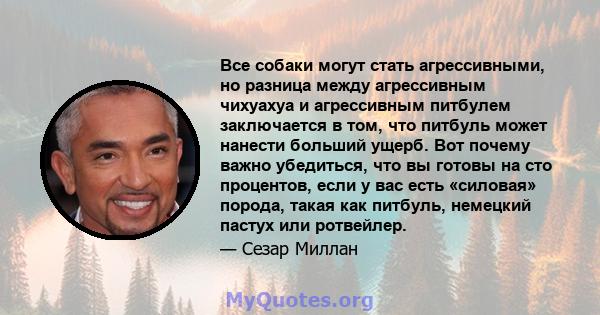 Все собаки могут стать агрессивными, но разница между агрессивным чихуахуа и агрессивным питбулем заключается в том, что питбуль может нанести больший ущерб. Вот почему важно убедиться, что вы готовы на сто процентов,