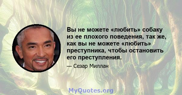 Вы не можете «любить» собаку из ее плохого поведения, так же, как вы не можете «любить» преступника, чтобы остановить его преступления.