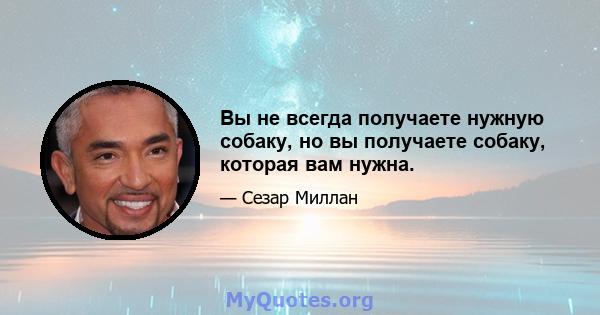 Вы не всегда получаете нужную собаку, но вы получаете собаку, которая вам нужна.