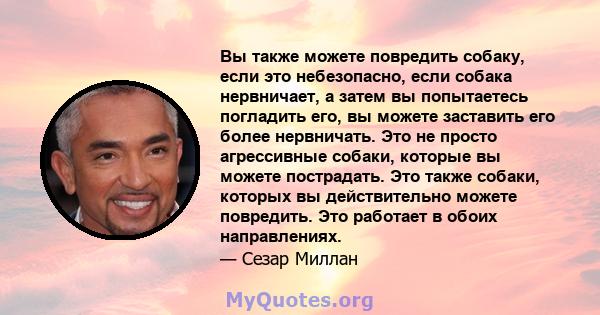 Вы также можете повредить собаку, если это небезопасно, если собака нервничает, а затем вы попытаетесь погладить его, вы можете заставить его более нервничать. Это не просто агрессивные собаки, которые вы можете