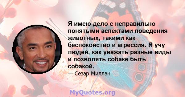 Я имею дело с неправильно понятыми аспектами поведения животных, такими как беспокойство и агрессия. Я учу людей, как уважать разные виды и позволять собаке быть собакой.