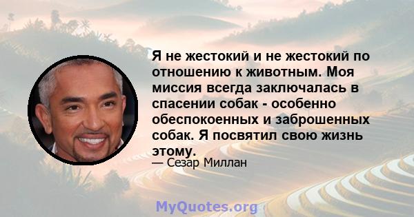 Я не жестокий и не жестокий по отношению к животным. Моя миссия всегда заключалась в спасении собак - особенно обеспокоенных и заброшенных собак. Я посвятил свою жизнь этому.