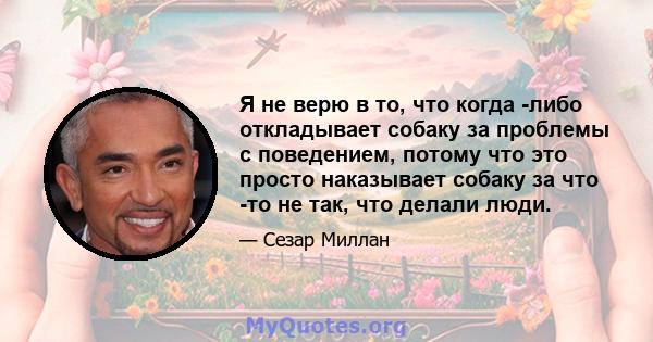 Я не верю в то, что когда -либо откладывает собаку за проблемы с поведением, потому что это просто наказывает собаку за что -то не так, что делали люди.