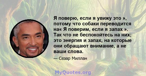 Я поверю, если я увижу это », потому что собаки переводится на« Я поверим, если я запах ». Так что не беспокойтесь на них; это энергия и запах, на которые они обращают внимание, а не ваши слова.