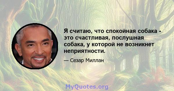 Я считаю, что спокойная собака - это счастливая, послушная собака, у которой не возникнет неприятности.