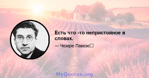 Есть что -то непристойное в словах.