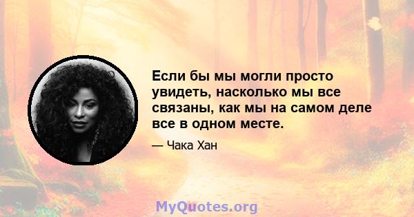 Если бы мы могли просто увидеть, насколько мы все связаны, как мы на самом деле все в одном месте.