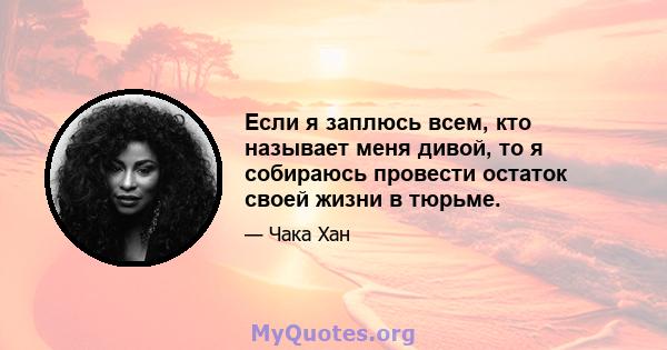 Если я заплюсь всем, кто называет меня дивой, то я собираюсь провести остаток своей жизни в тюрьме.