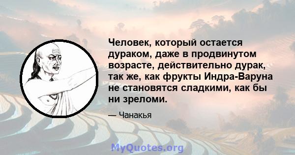 Человек, который остается дураком, даже в продвинутом возрасте, действительно дурак, так же, как фрукты Индра-Варуна не становятся сладкими, как бы ни зреломи.