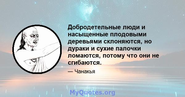 Добродетельные люди и насыщенные плодовыми деревьями склоняются, но дураки и сухие палочки ломаются, потому что они не сгибаются.