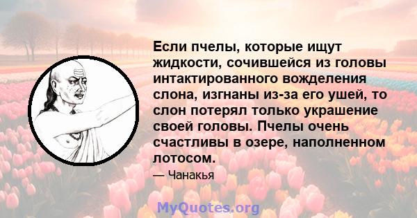 Если пчелы, которые ищут жидкости, сочившейся из головы интактированного вожделения слона, изгнаны из-за его ушей, то слон потерял только украшение своей головы. Пчелы очень счастливы в озере, наполненном лотосом.