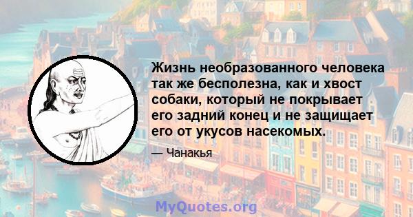 Жизнь необразованного человека так же бесполезна, как и хвост собаки, который не покрывает его задний конец и не защищает его от укусов насекомых.