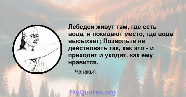 Лебедей живут там, где есть вода, и покидают место, где вода высыхает; Позвольте не действовать так, как это - и приходит и уходит, как ему нравится.