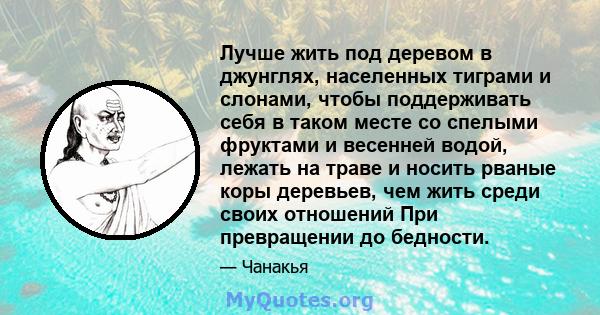 Лучше жить под деревом в джунглях, населенных тиграми и слонами, чтобы поддерживать себя в таком месте со спелыми фруктами и весенней водой, лежать на траве и носить рваные коры деревьев, чем жить среди своих отношений