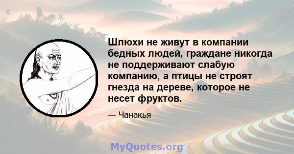 Шлюхи не живут в компании бедных людей, граждане никогда не поддерживают слабую компанию, а птицы не строят гнезда на дереве, которое не несет фруктов.